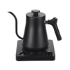 Gooseneck Electric Kettle