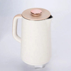 AECCN Wholesale Smart Electric Tea Pot Boiling Water Hot Electric Kettle Stainless Steel For Household