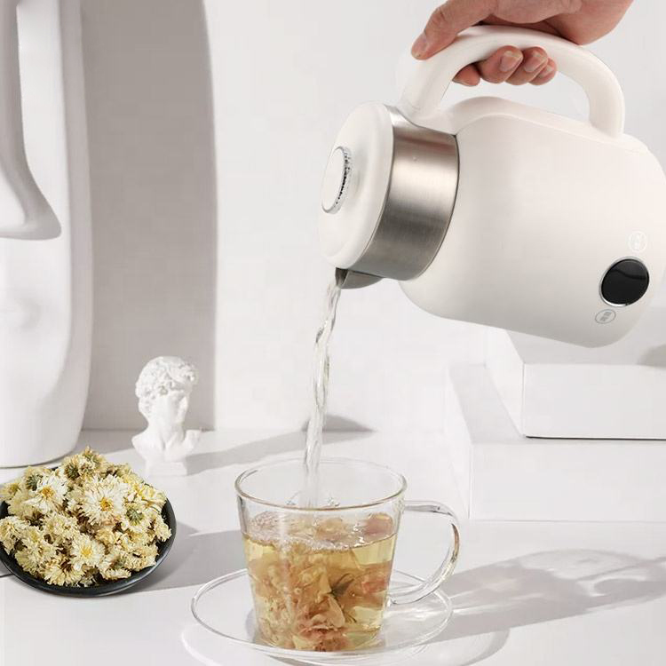 Multifunctional Electric Kettle
