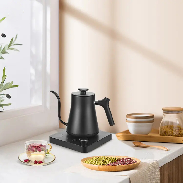 Gooseneck Electric Kettle