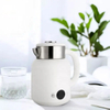 Multifunctional Electric Kettle