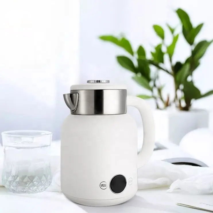 Multifunctional Electric Kettle